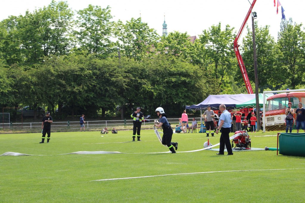 zawod 2019